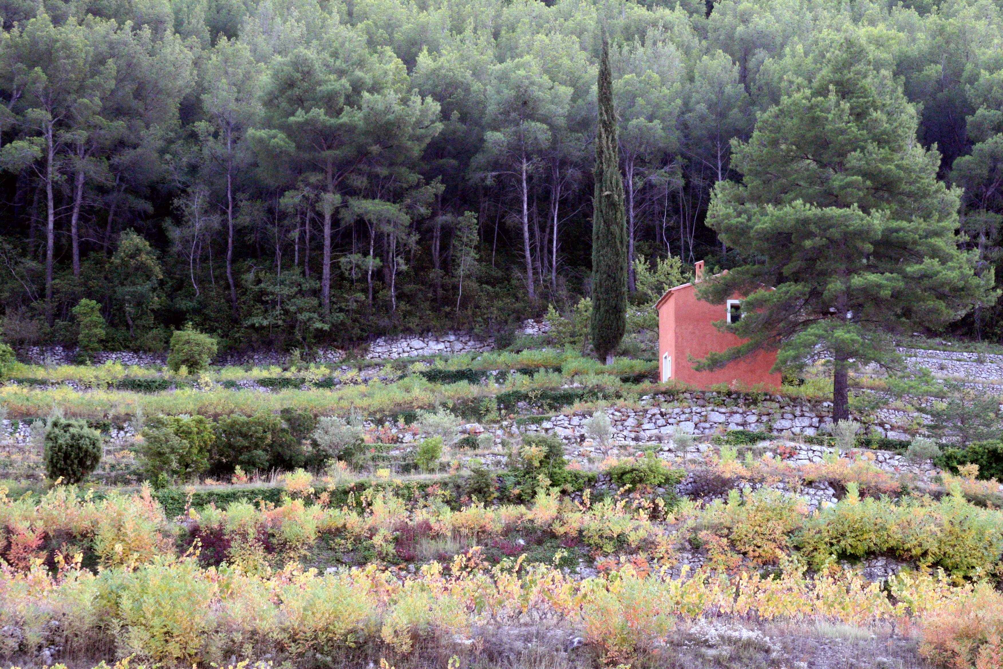 Provence countryside