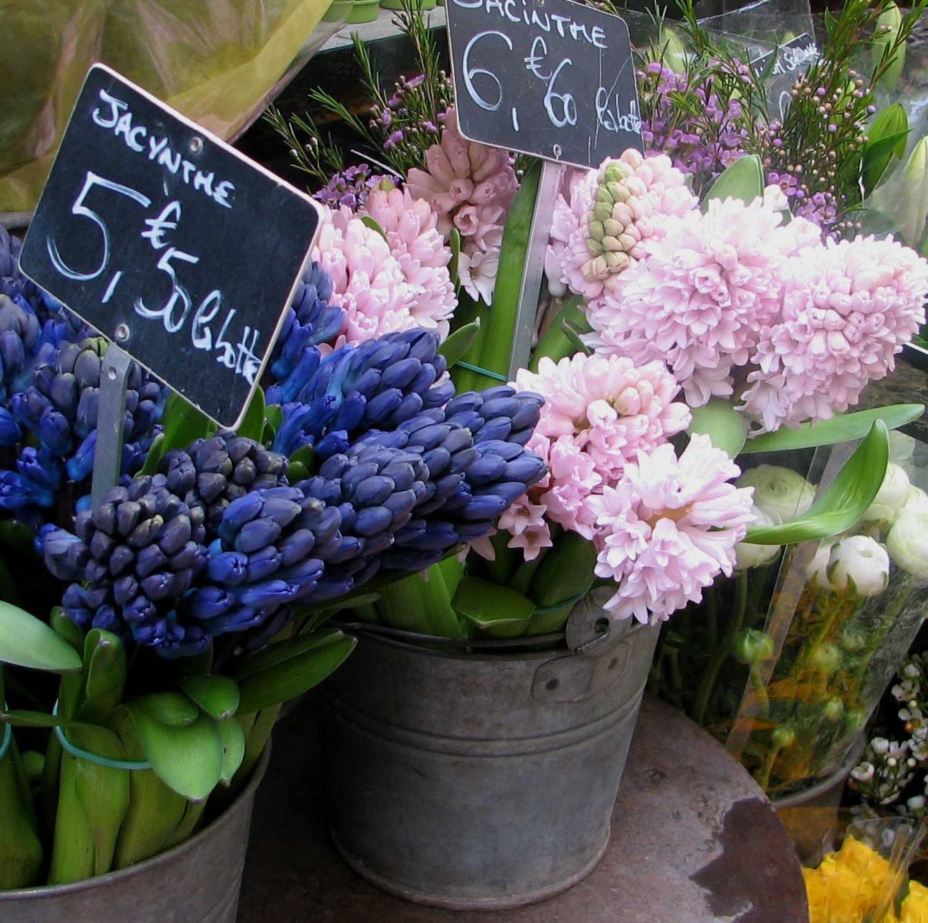 Flowers-at-the-French-Flora