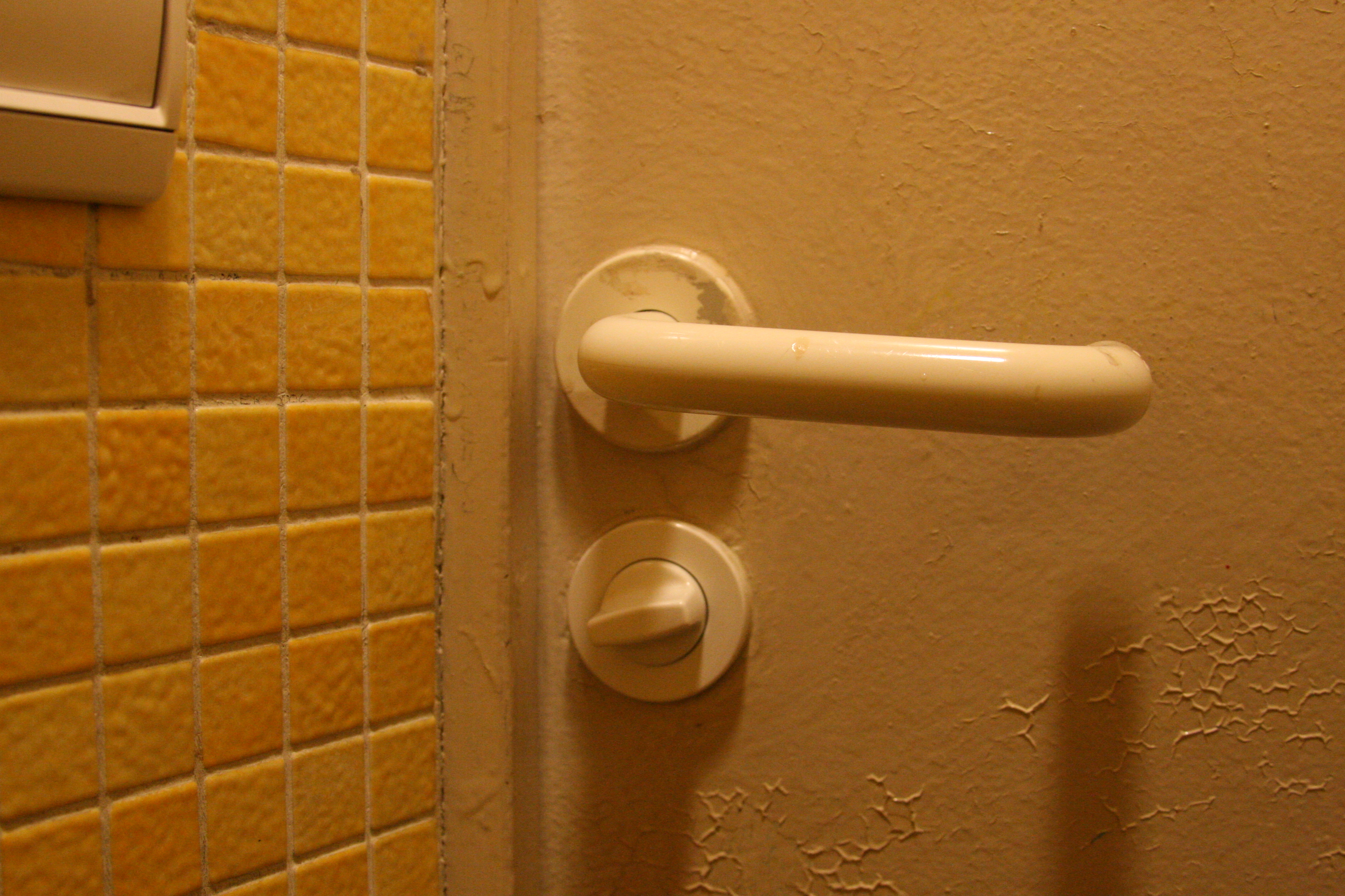 Eiffel tower bathroom