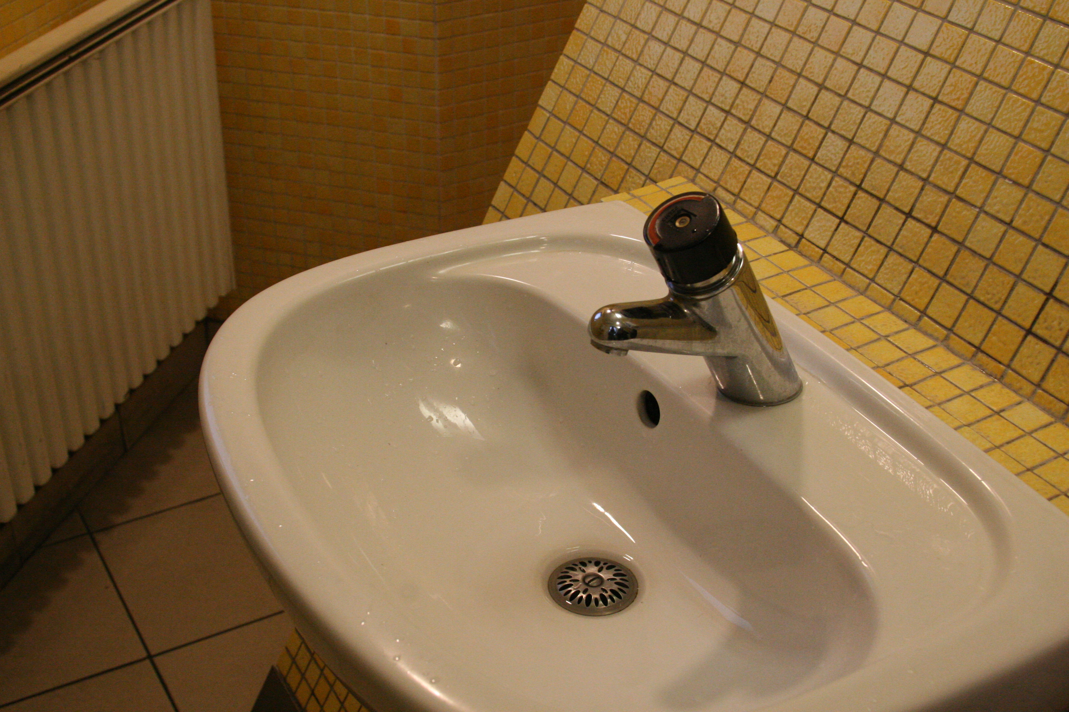 eiffel tower bathroom