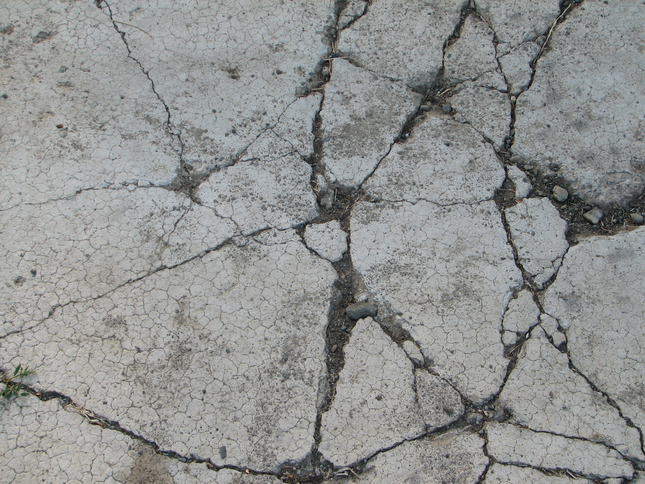 louis sixteenth bow on a chair