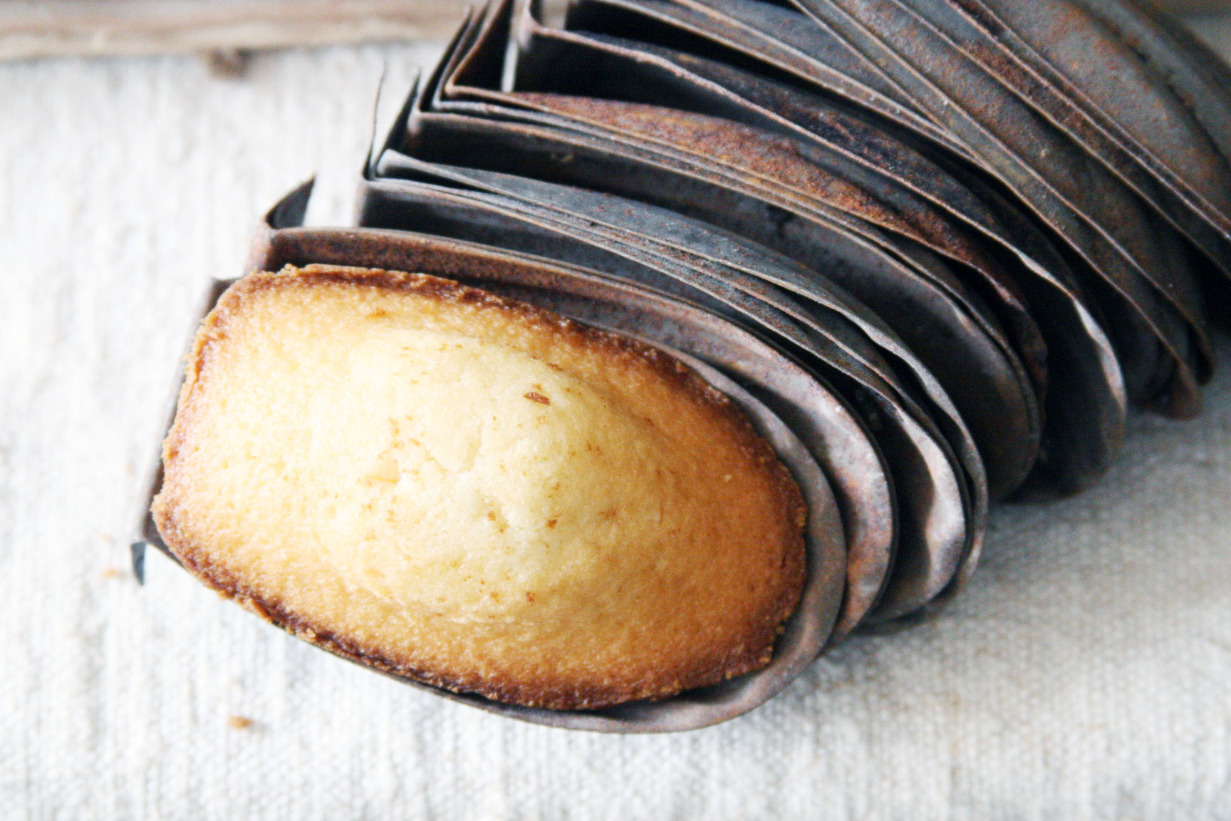 Madeleines