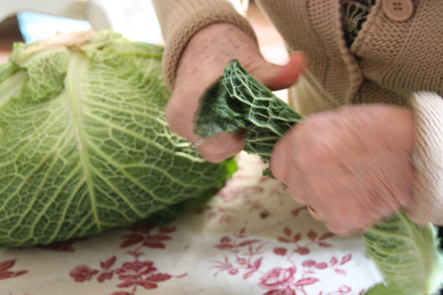 how to make stuffed cabbage how to make stuffed cabbage