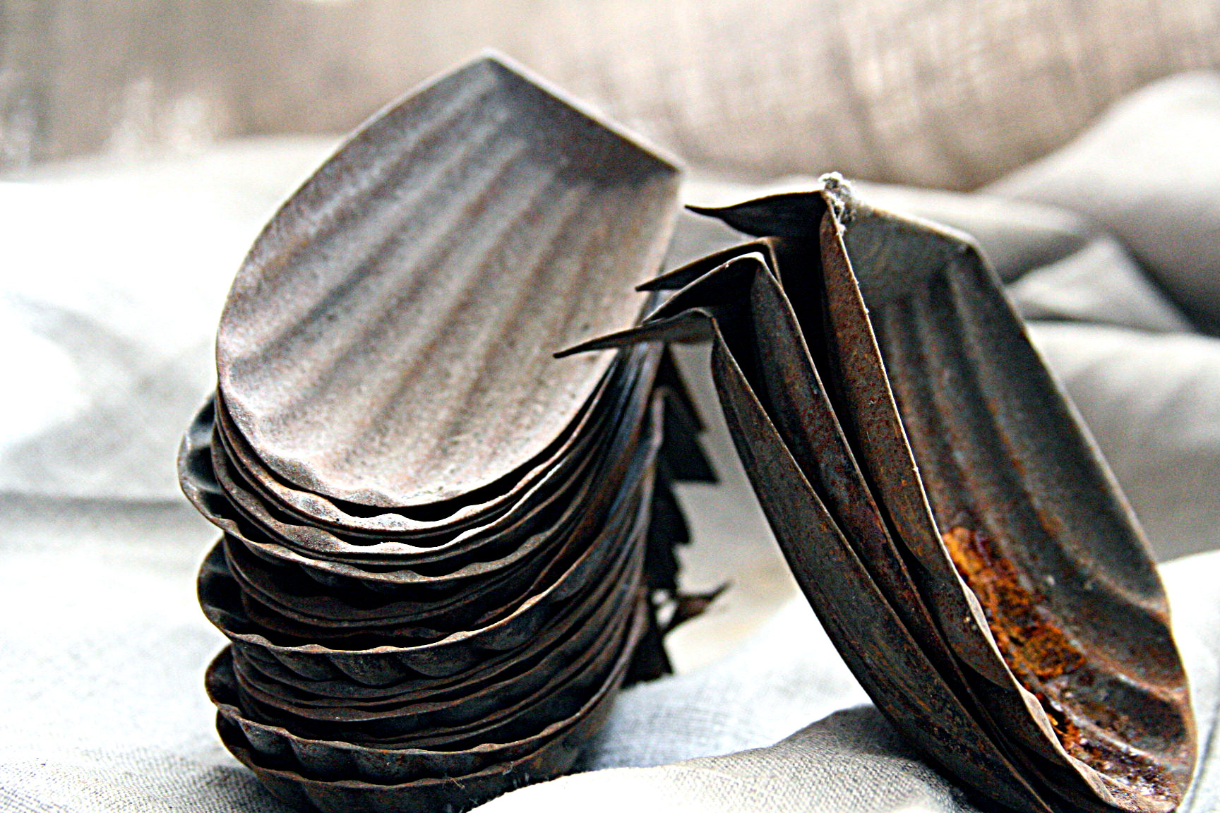 French-madeleine-tins