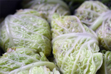 Cabbage-rolls