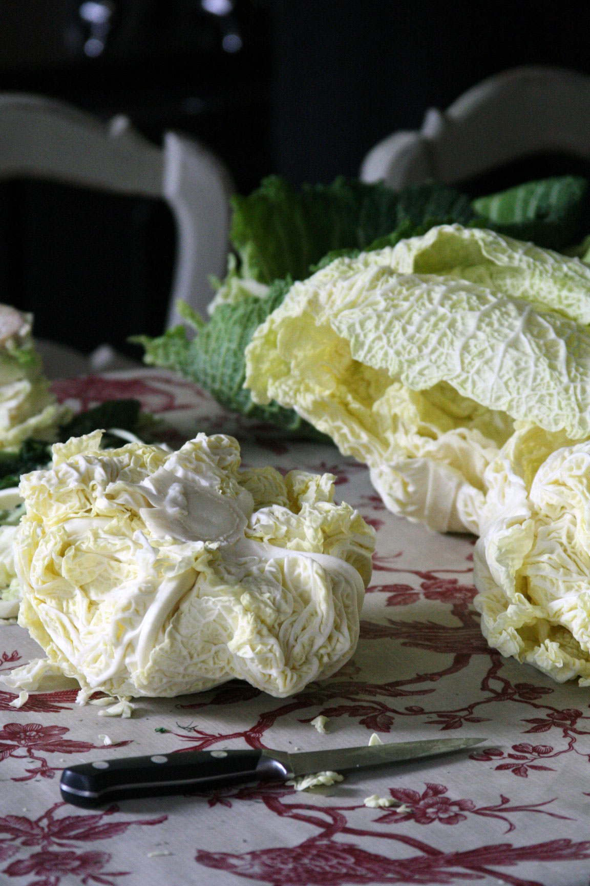 Cabbage-core Cabbage-core