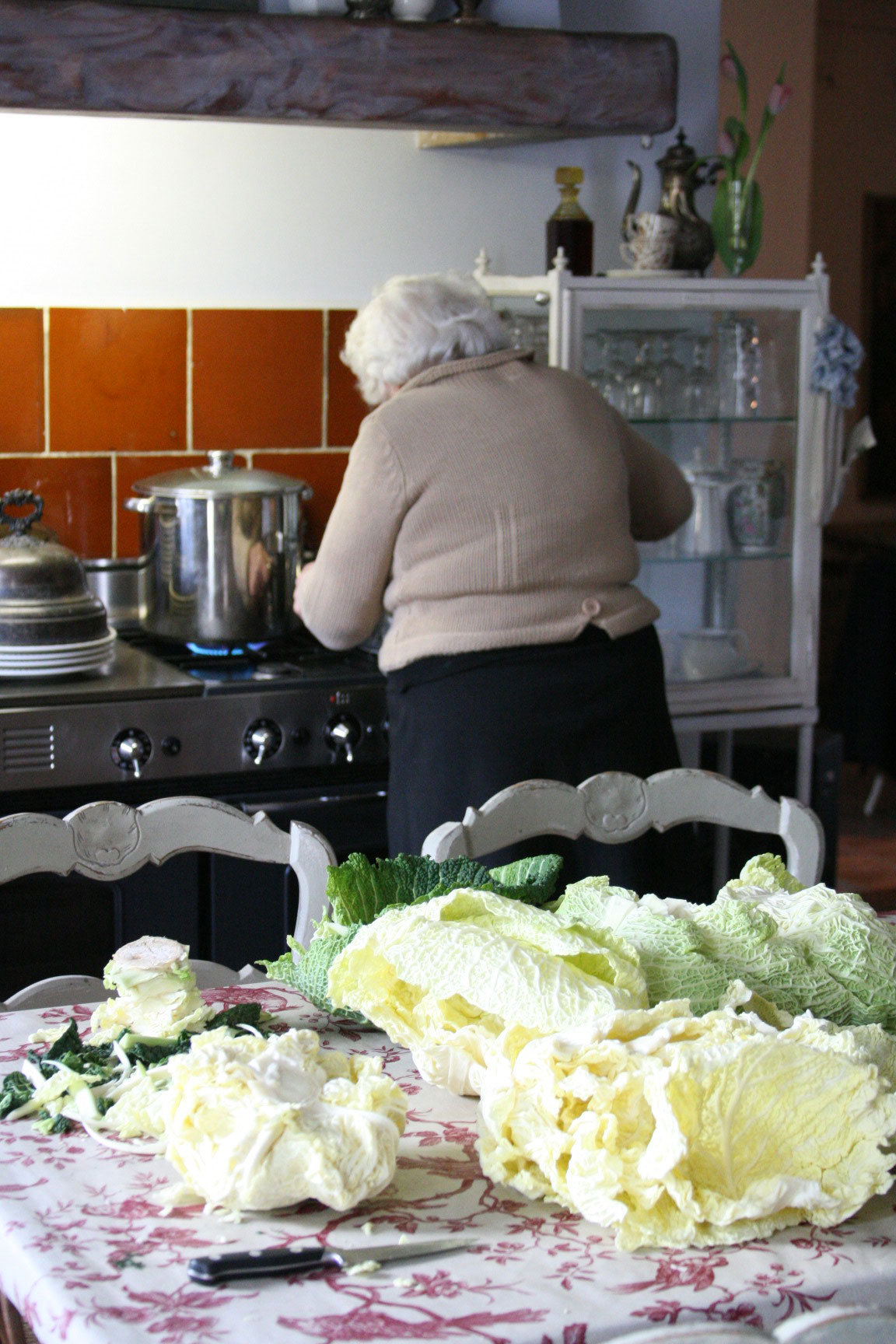 Cooking-cabbage