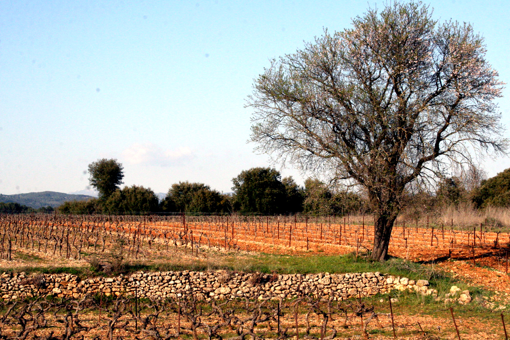 provence countryside provence countryside