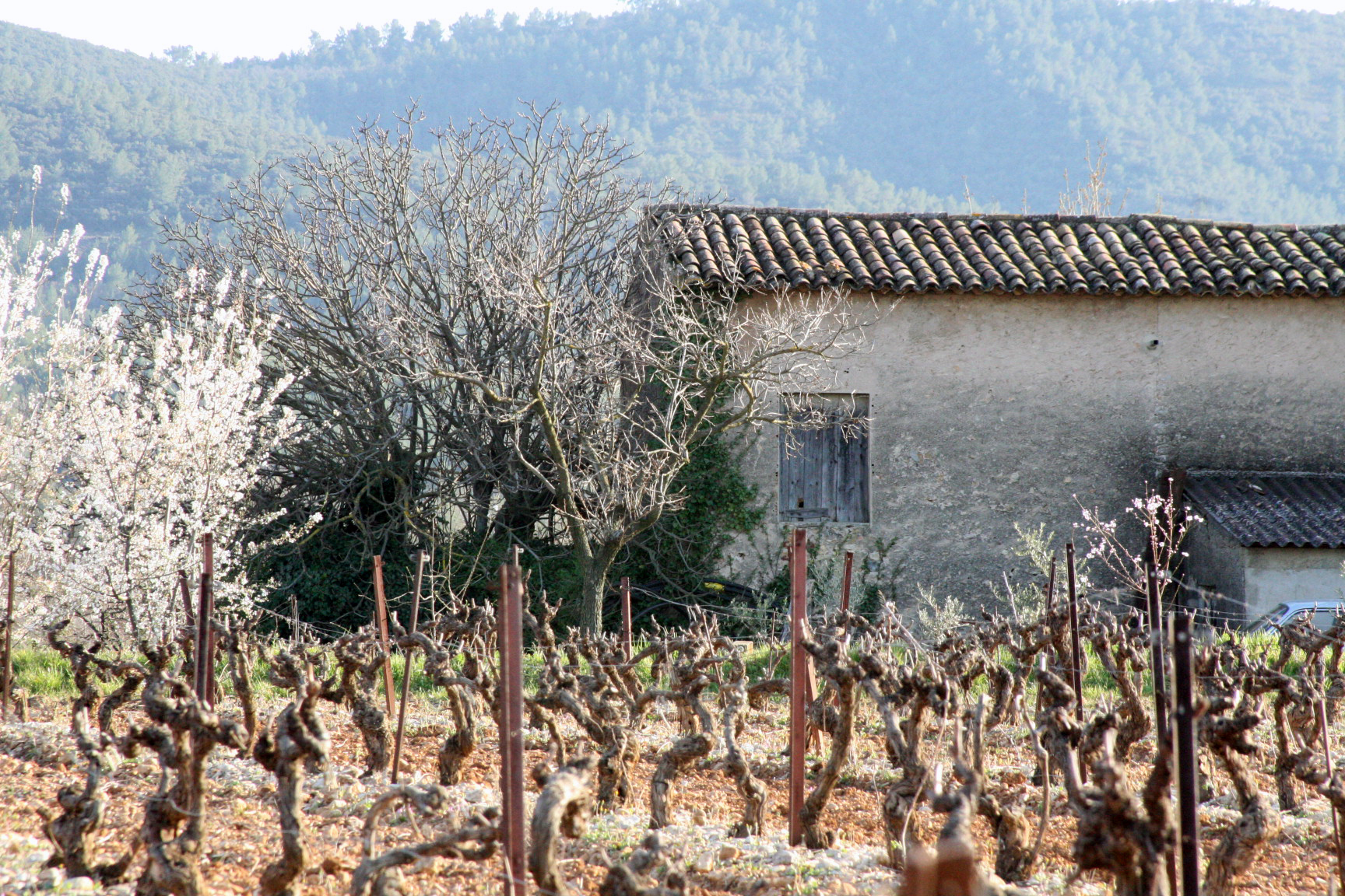 French countryside French countryside