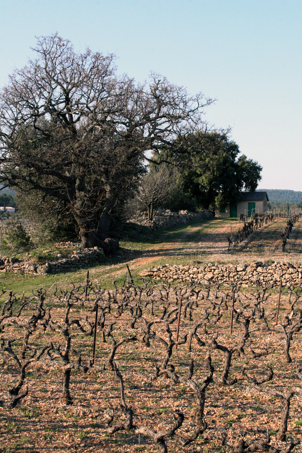 French countryside French countryside