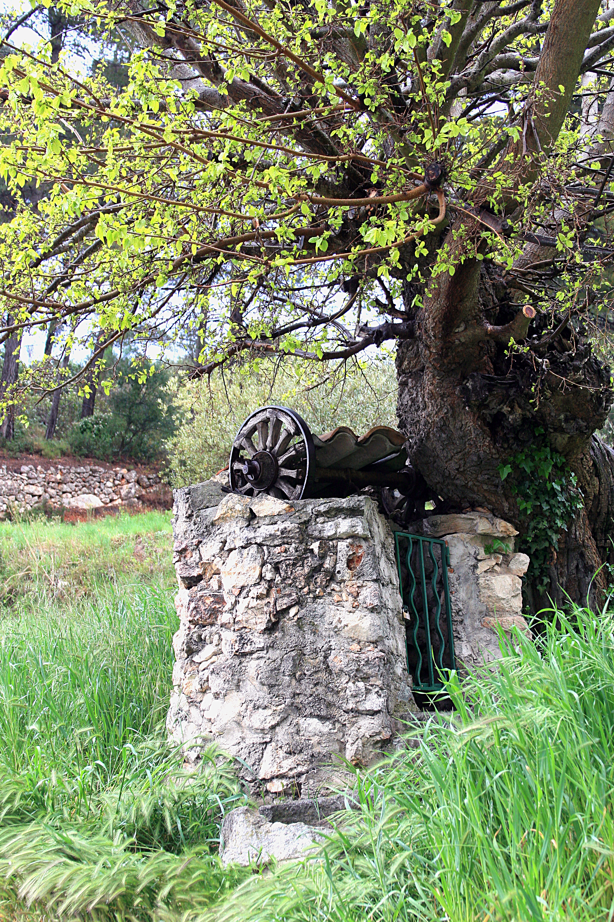 South of france well South of france well