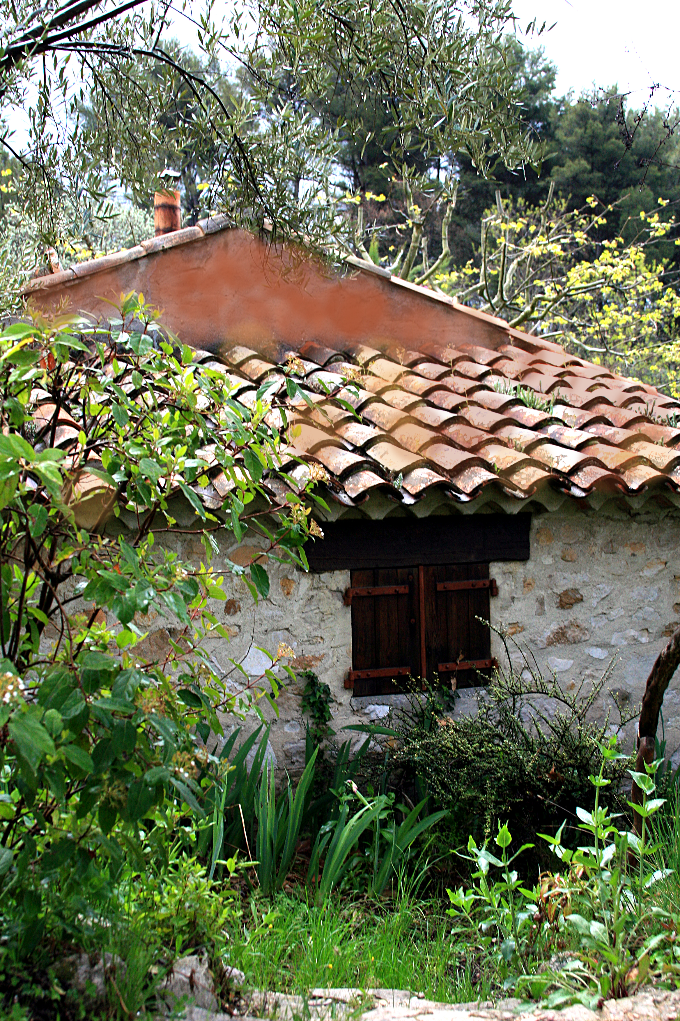 South of france house South of france house