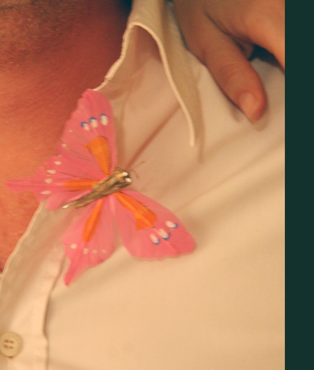 Pink butterfly Pink butterfly