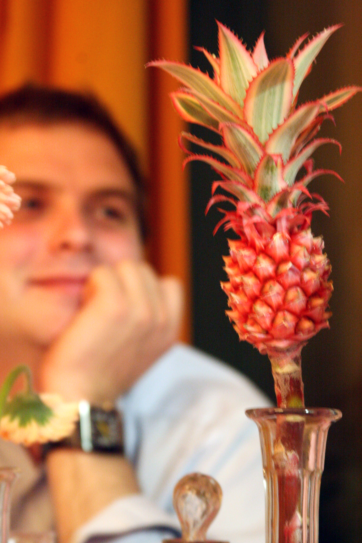 Pink pineapple