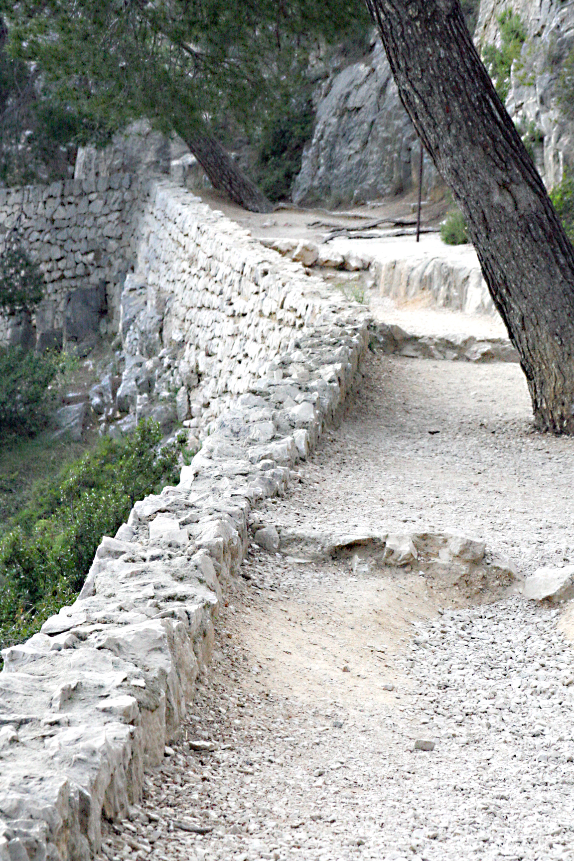 Trail along cassis