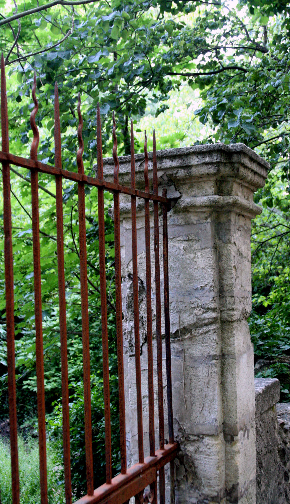 Iron-gate