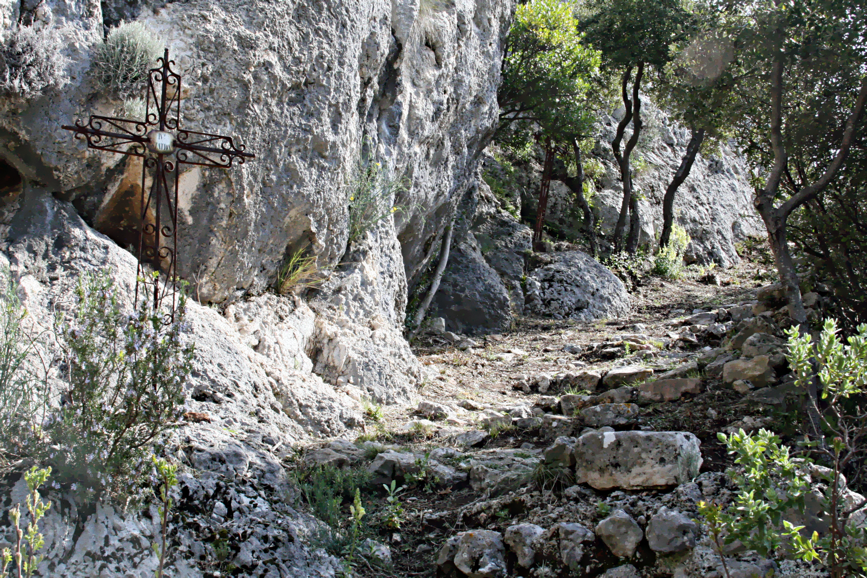 Provencal path in the foothills