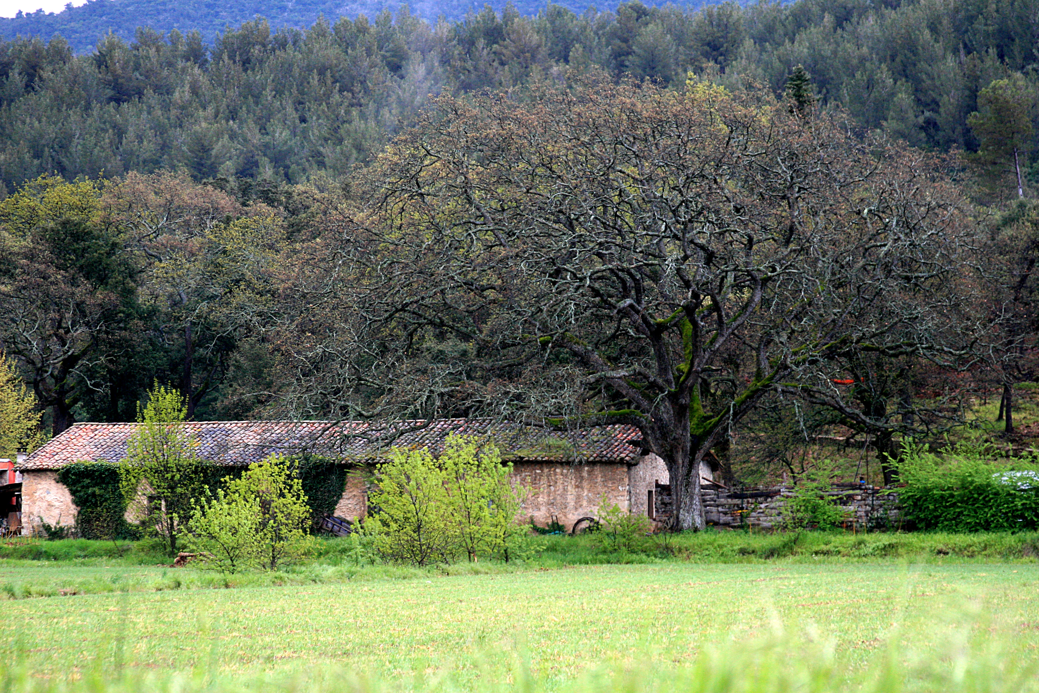 South-of-france South-of-france