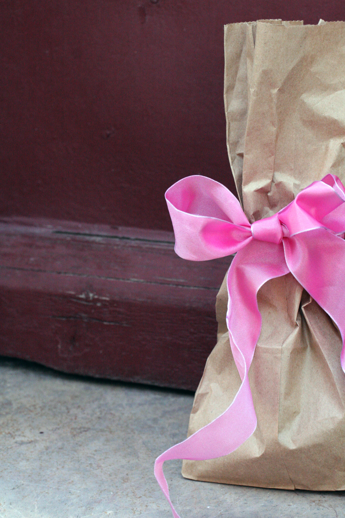 Doggy Bag with a pink bow