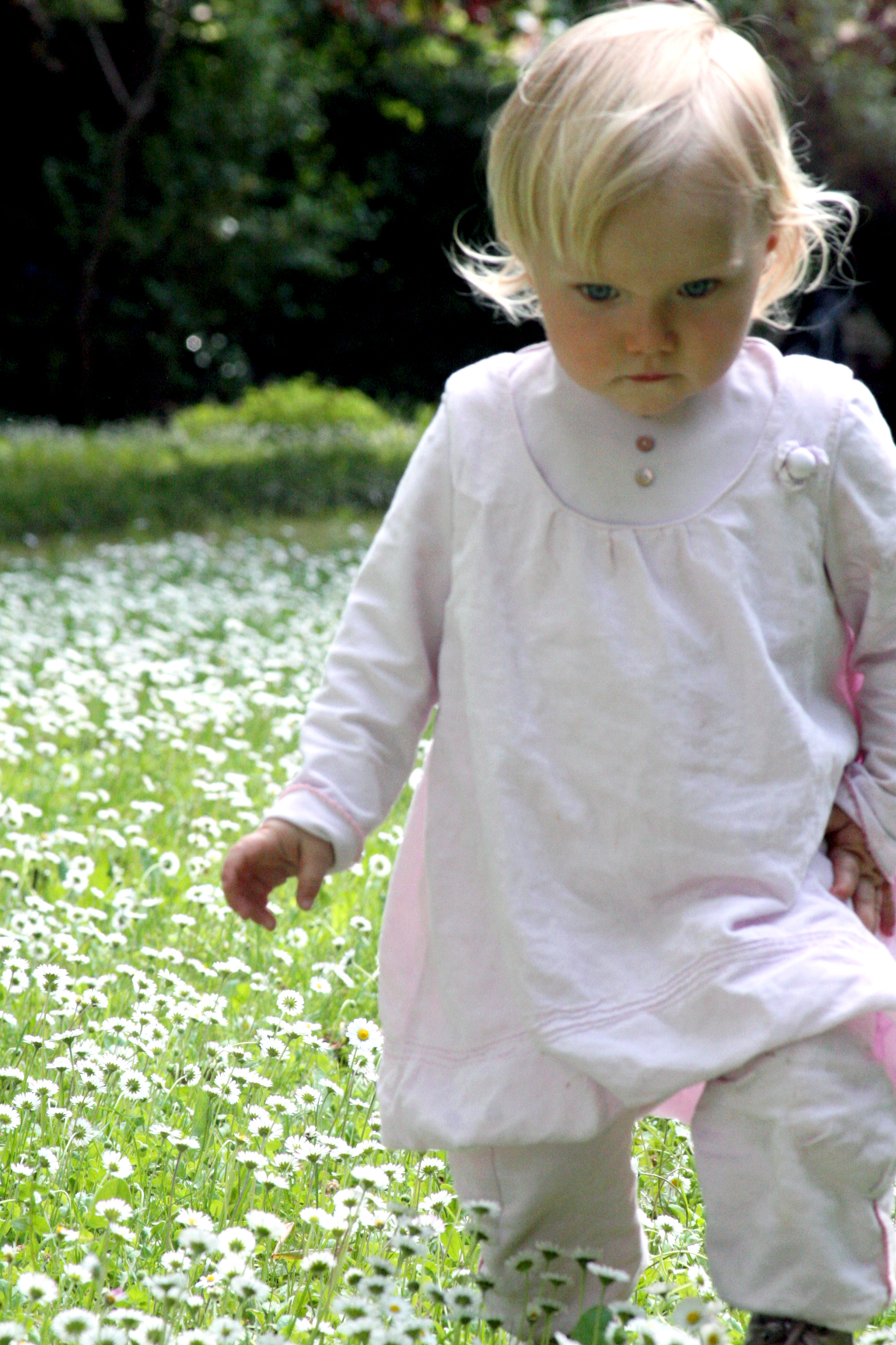 Baby in daisies Baby in daisies