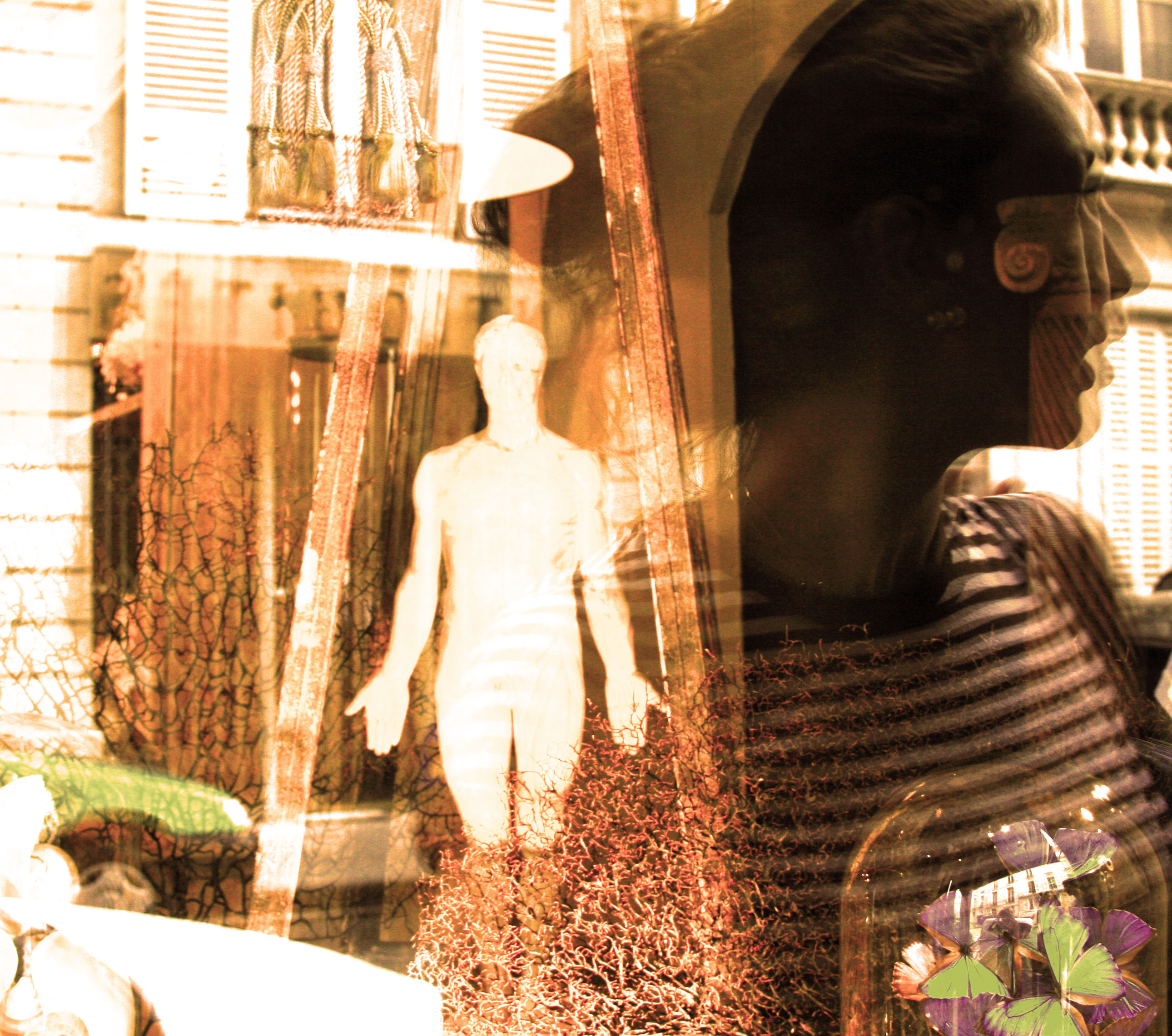 window displays Paris