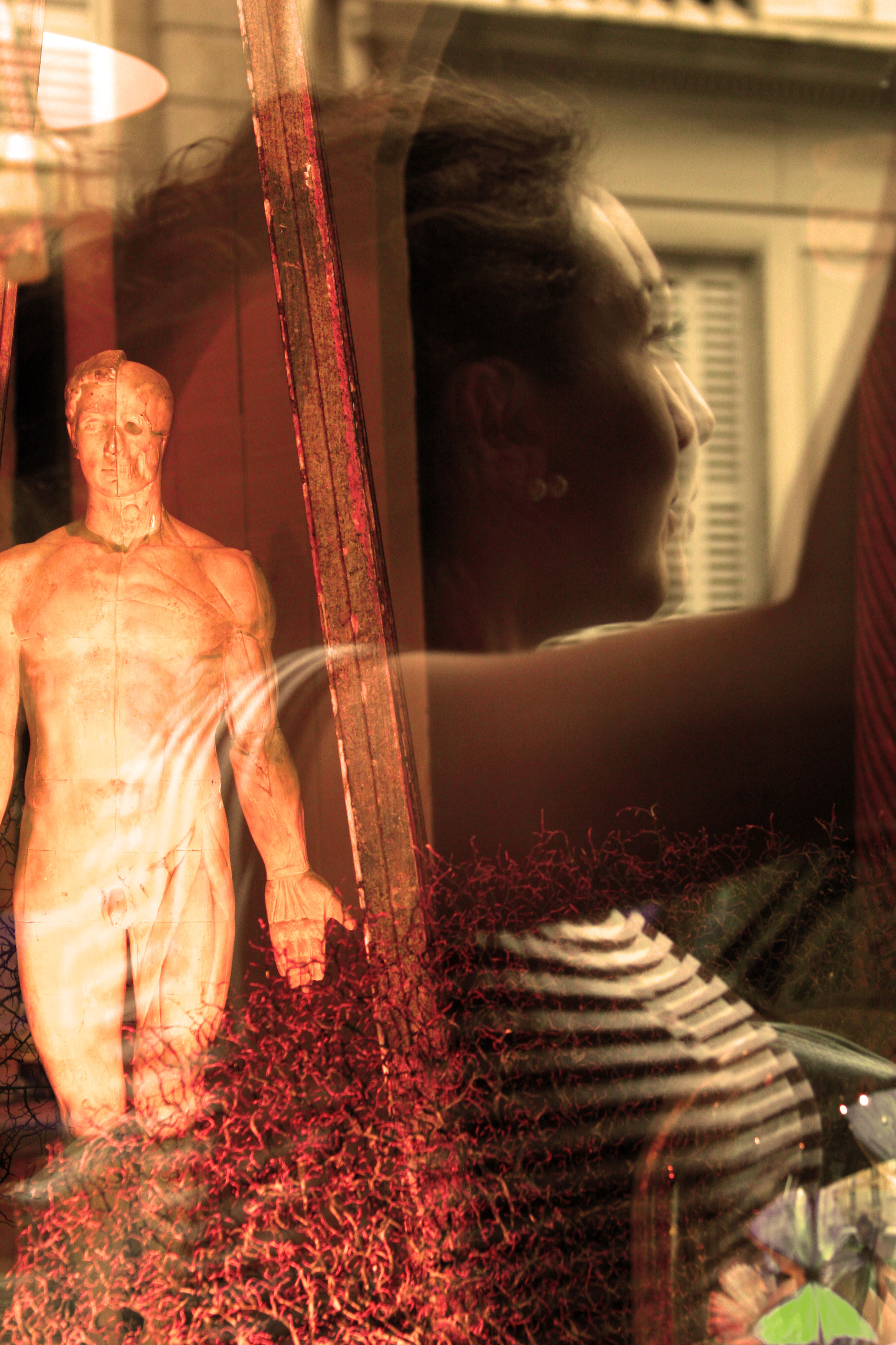 window displays Paris