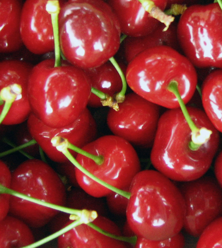 Cherries-with-stems