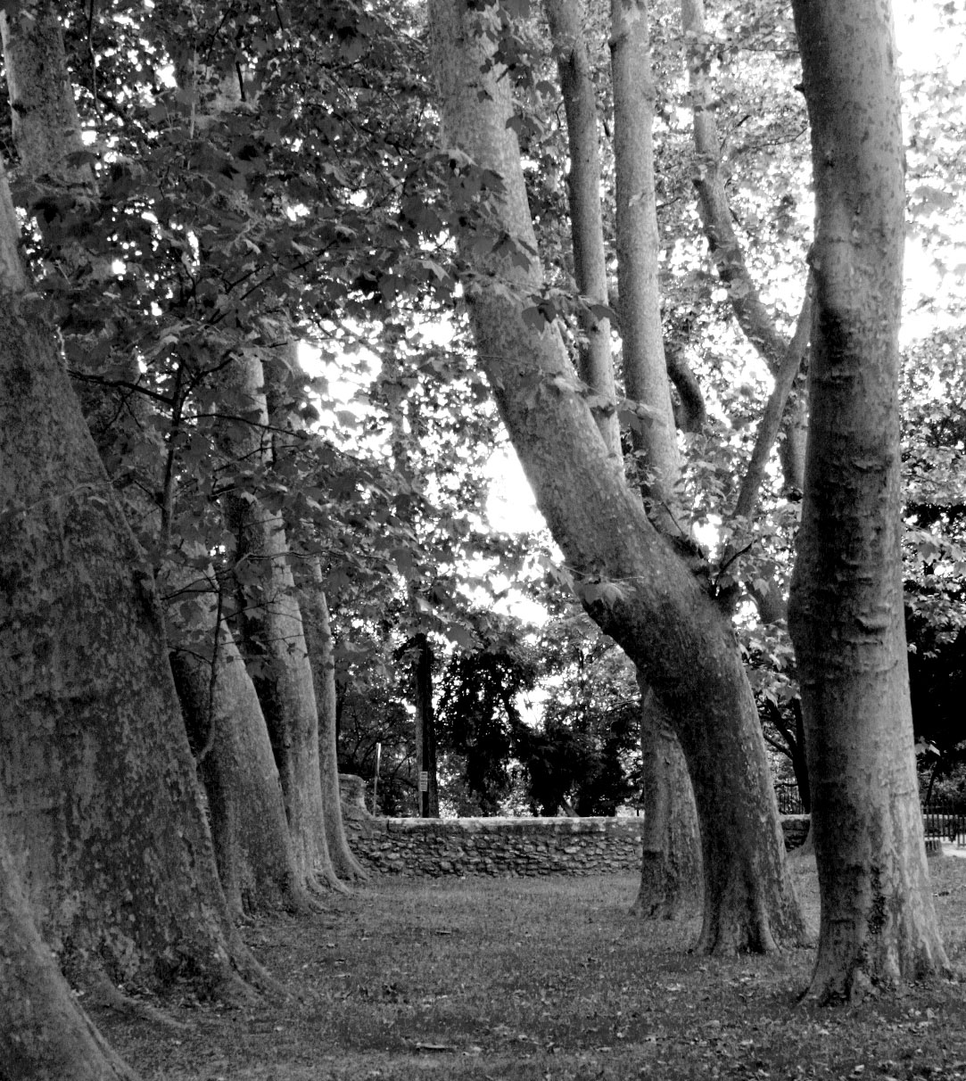 Chateau-Barben-garden