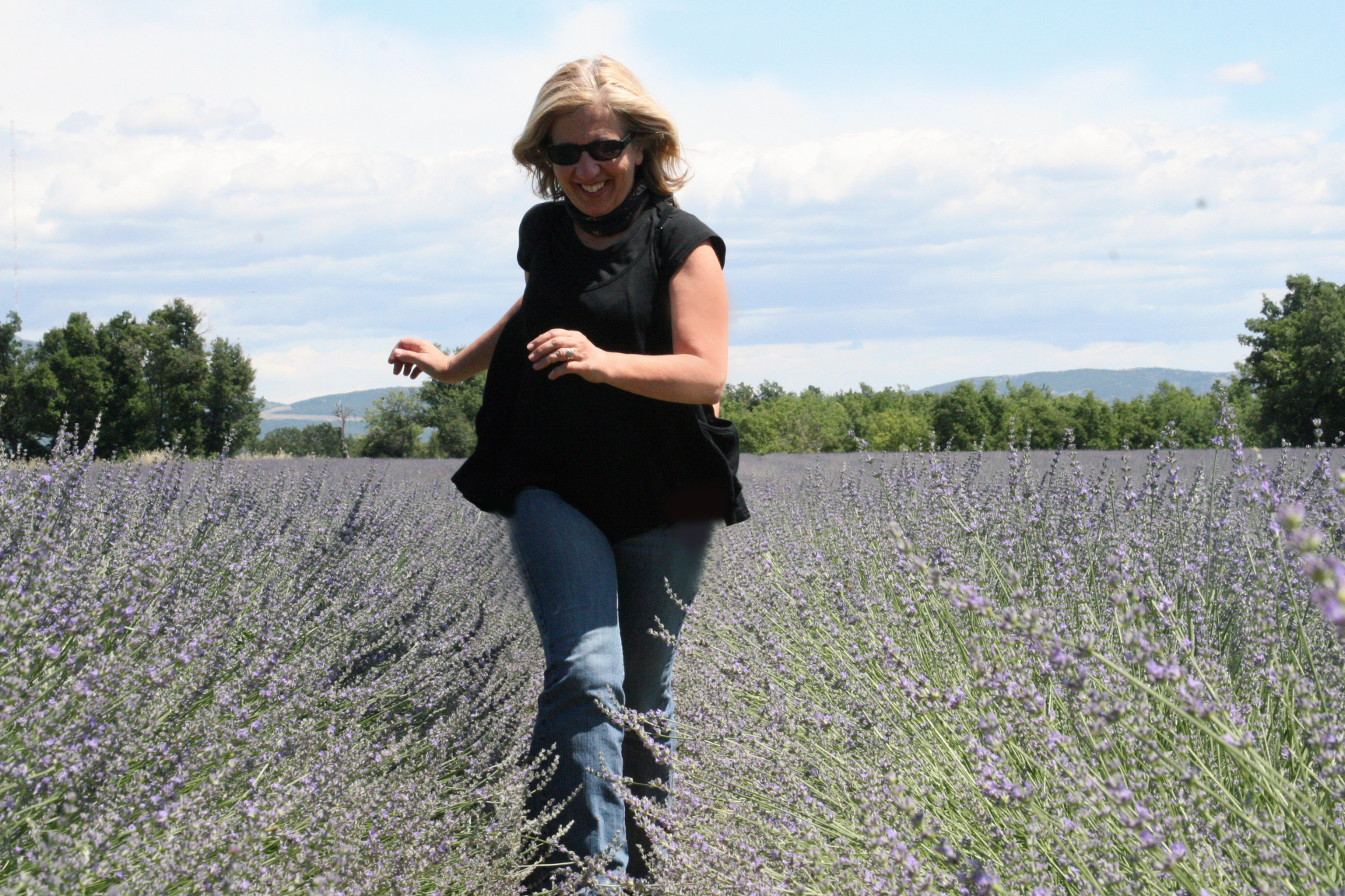 Lavender field valensole