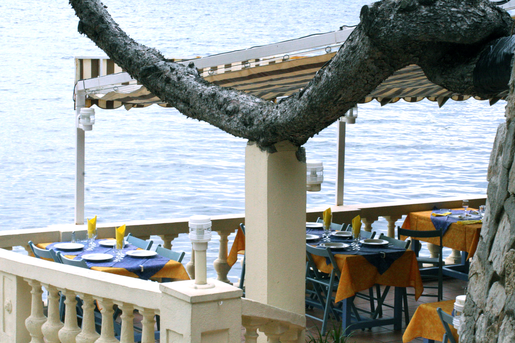 Chez bernard's Chez bernard's