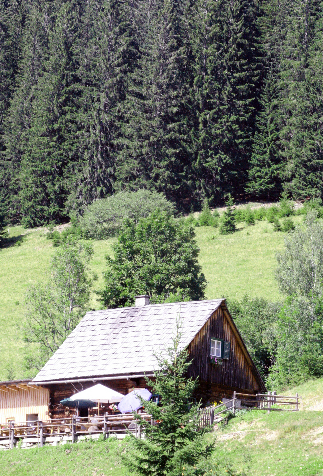 Cafe hopping in the alps
