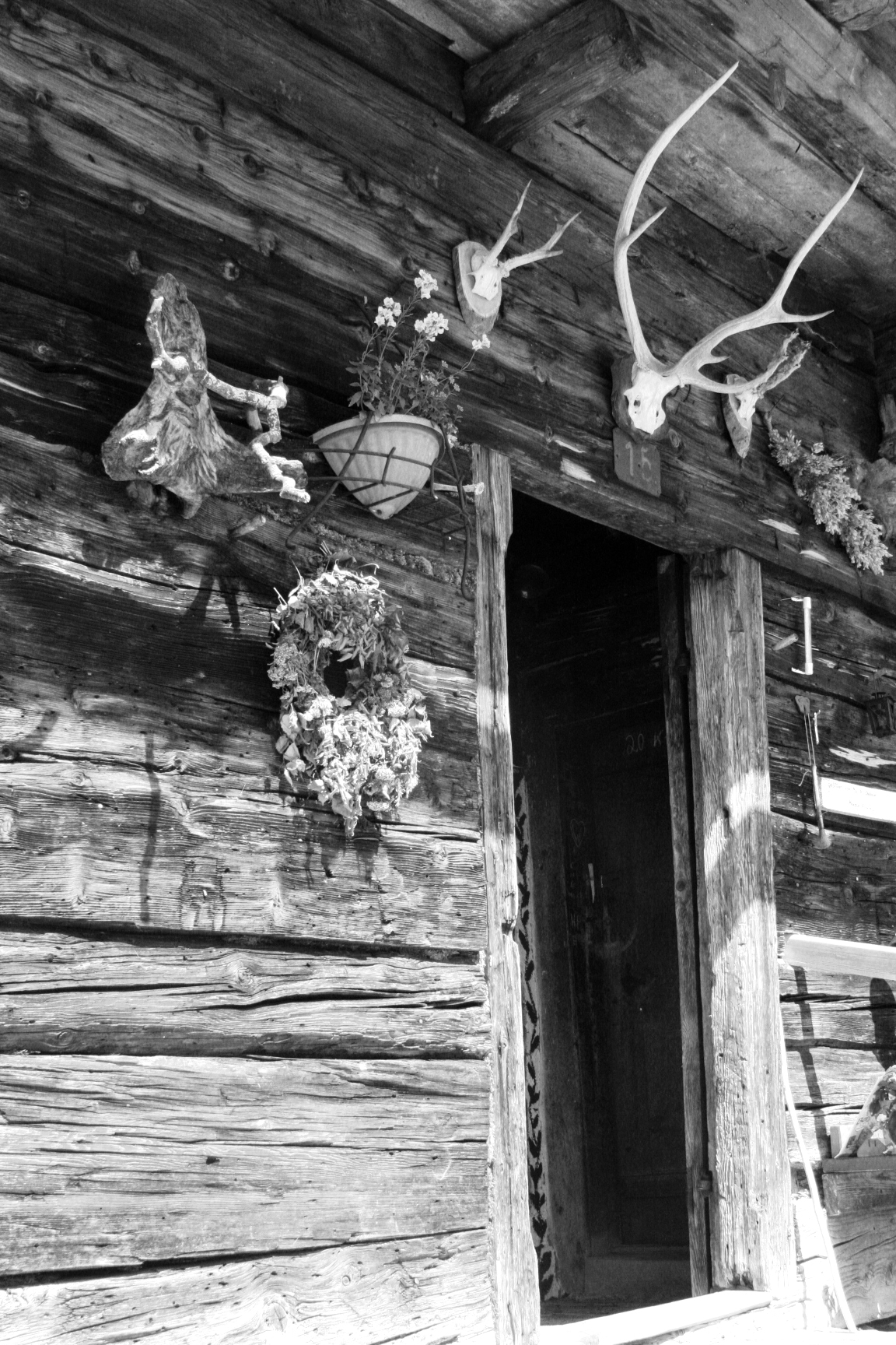 Cabin in the alps serving coffee