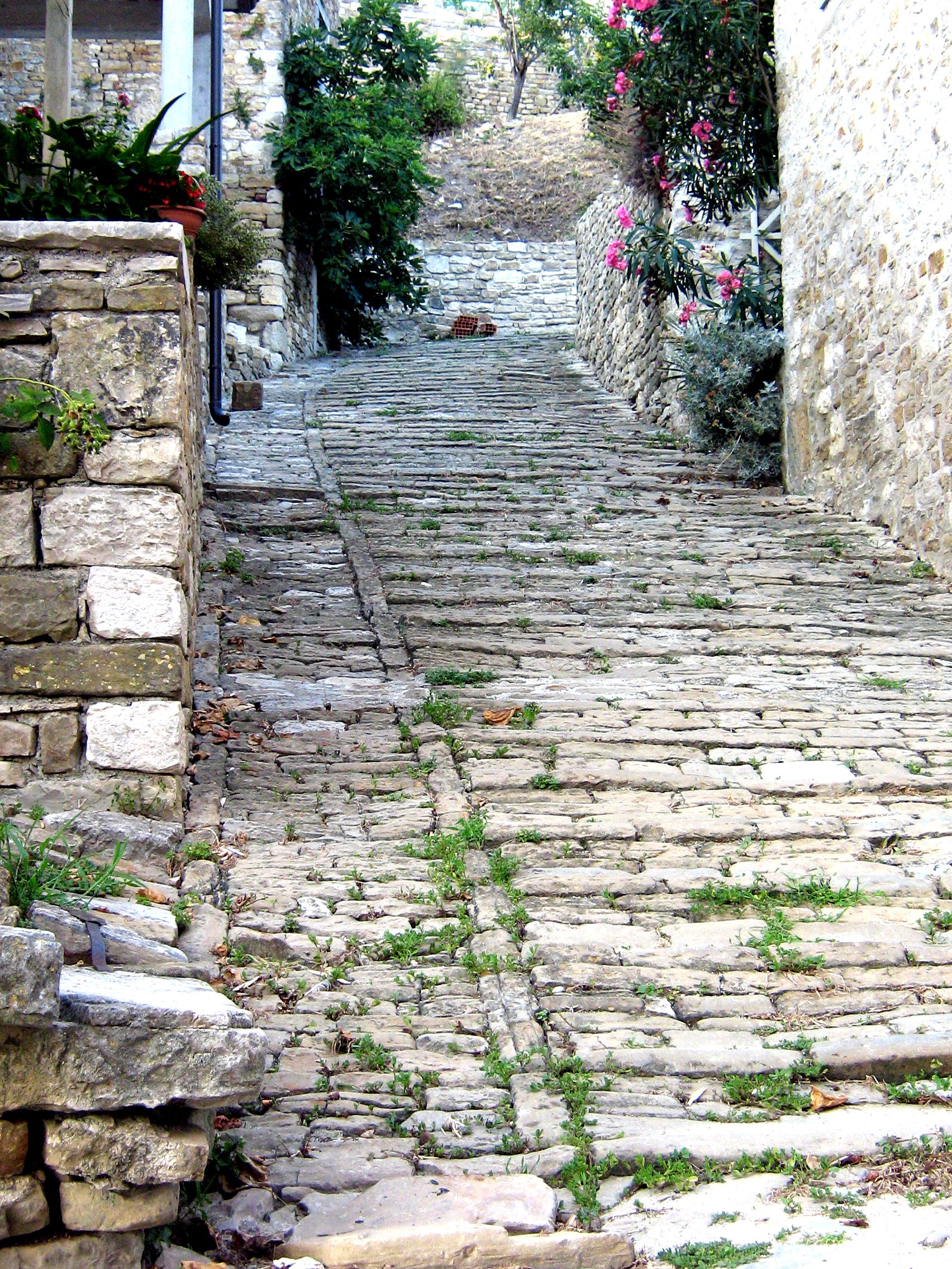 Motovun steps