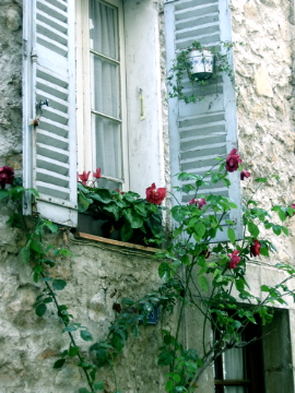 blue shutters with flower box blue shutters with flower box