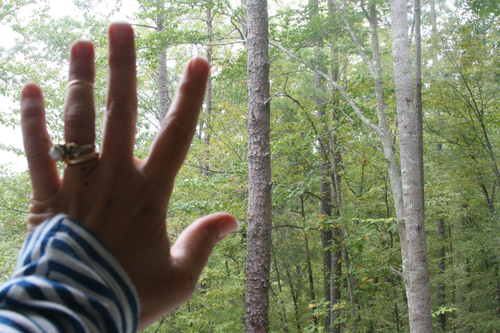 hand on glass hand on glass