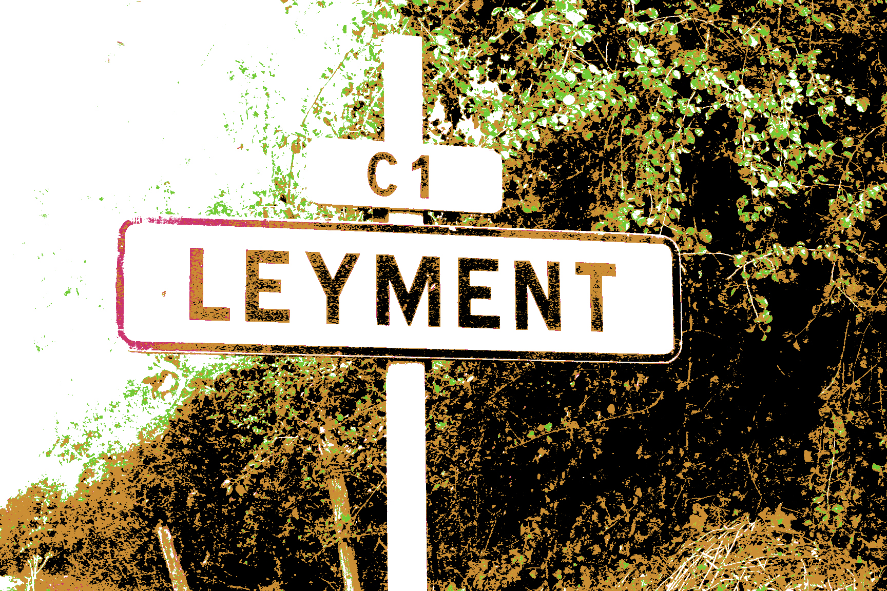 Leyment