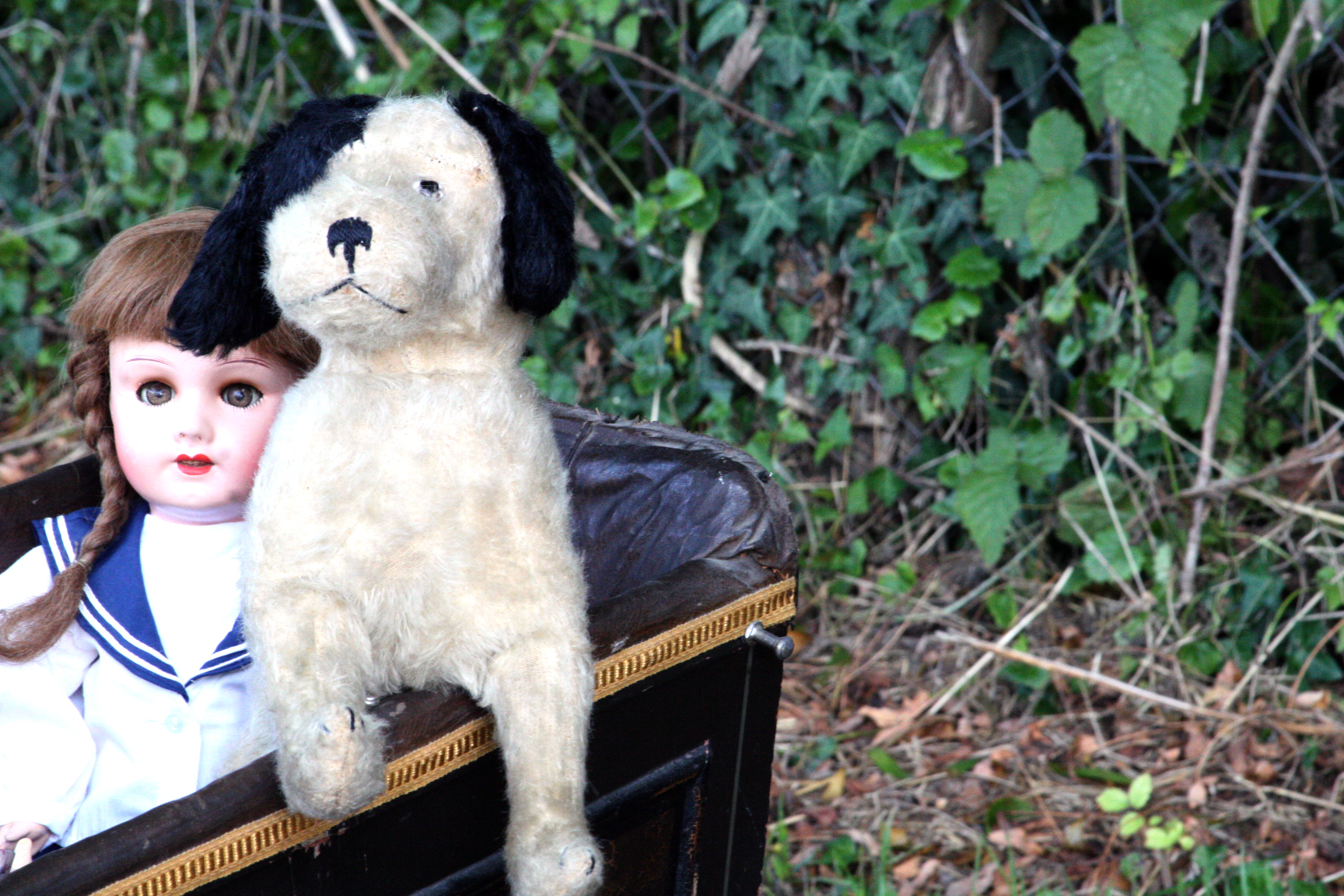 Dog in stroller with doll Dog in stroller with doll