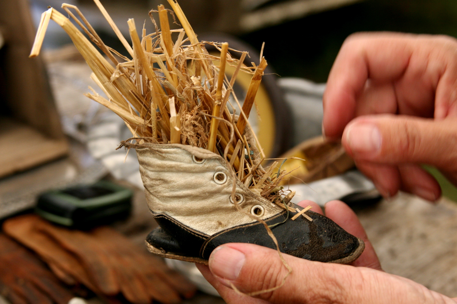 little ole shoe little ole shoe