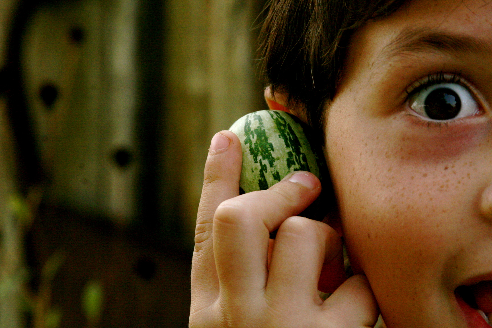 one jack in the pumpkin patch