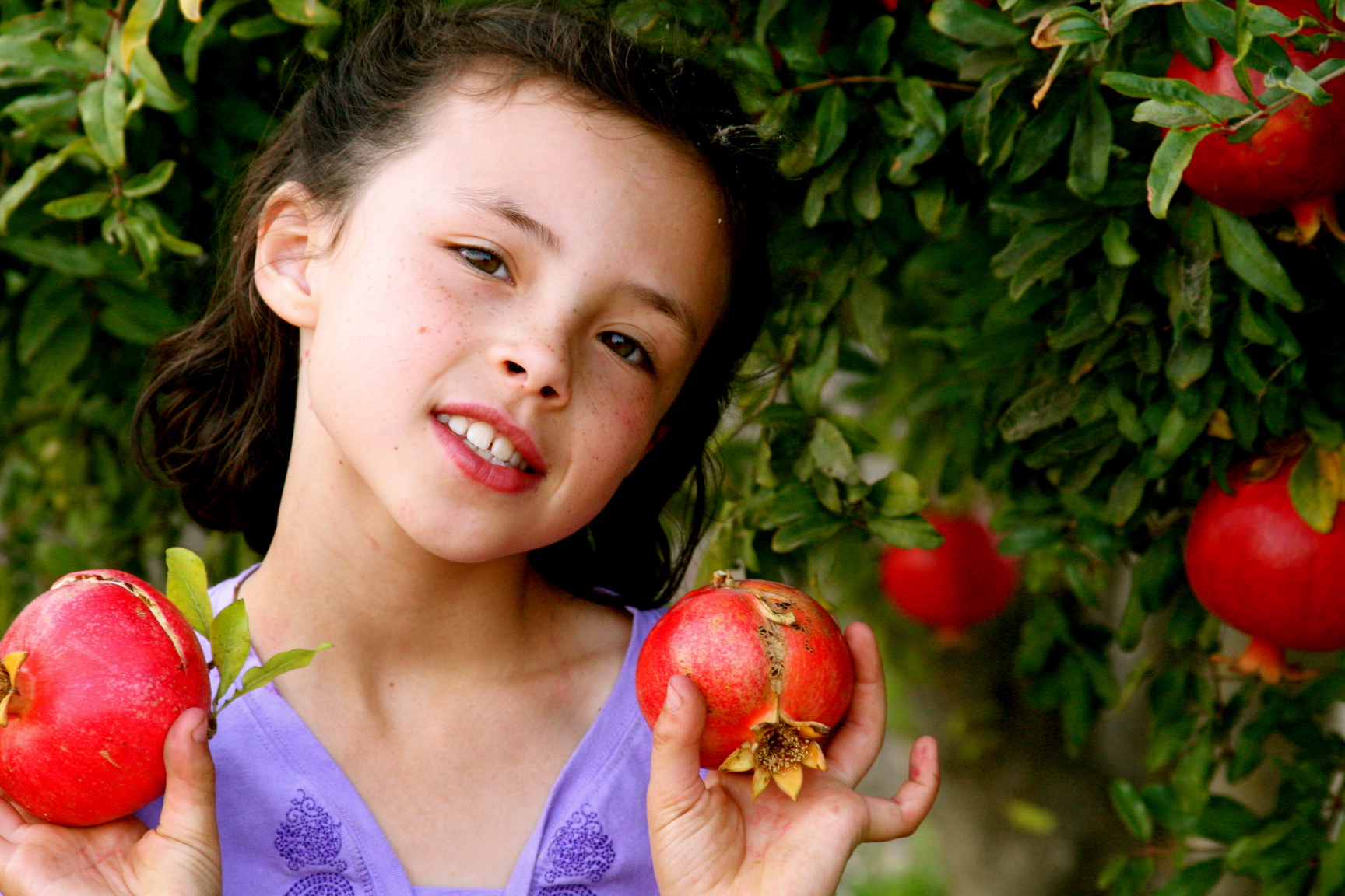 a-million in the tree Pomegranates