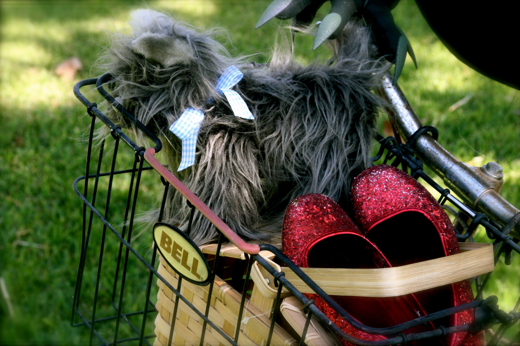 Toto and the ruby red slippers Toto and the ruby red slippers