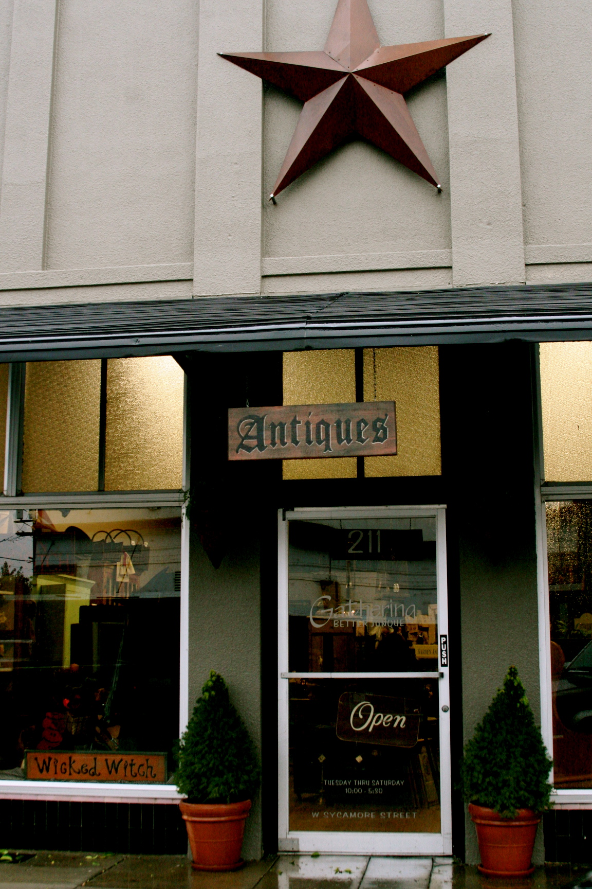 gathering junque willows california