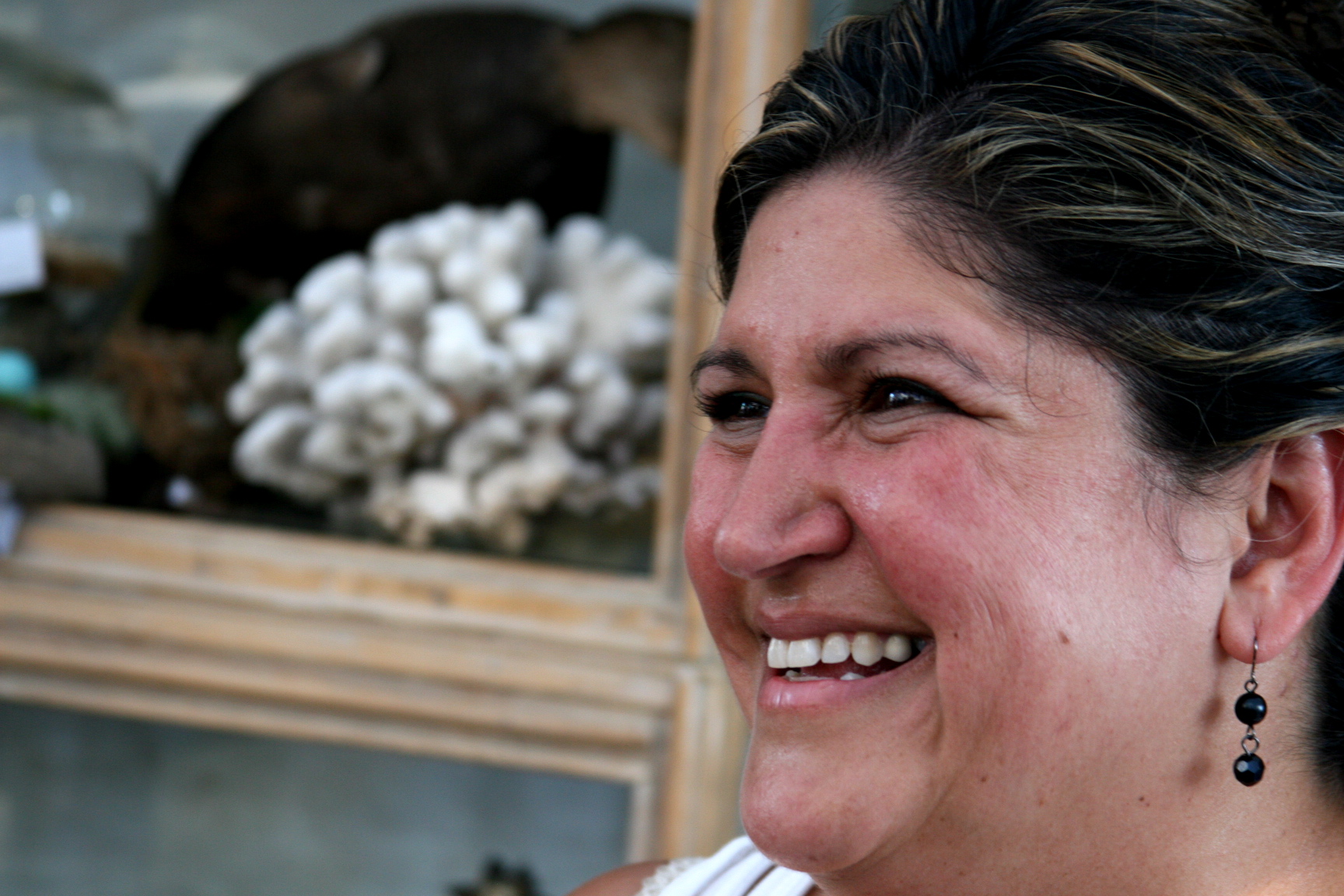 garden antiques Teresa garden antiques Teresa