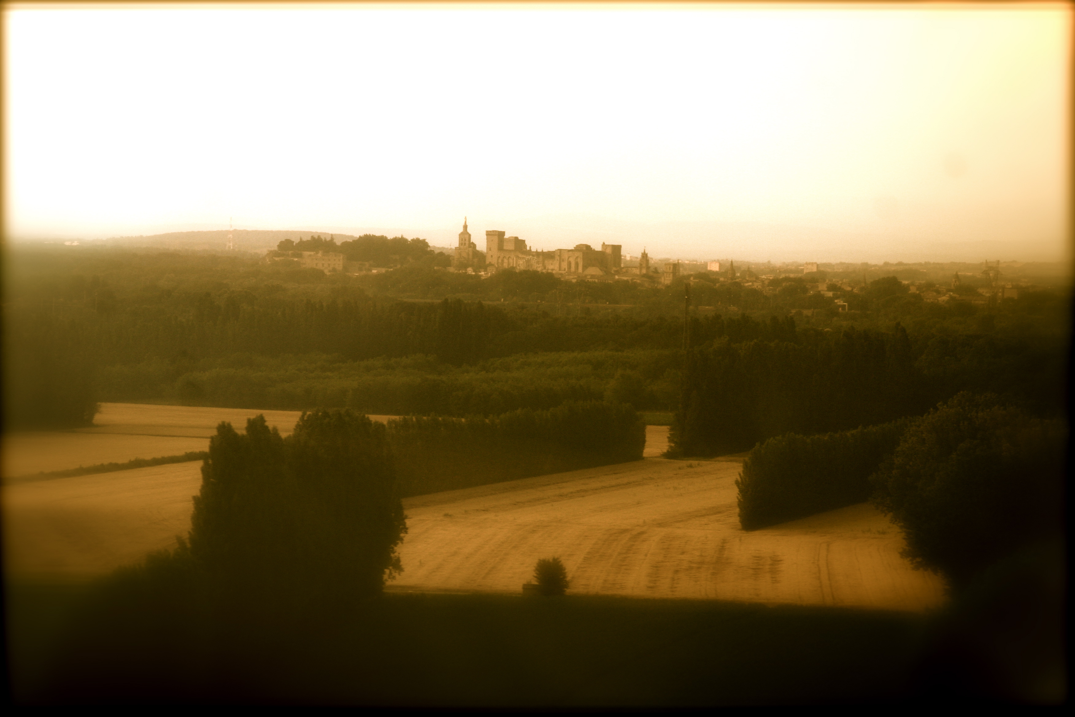 Palais des Papes in Avignon