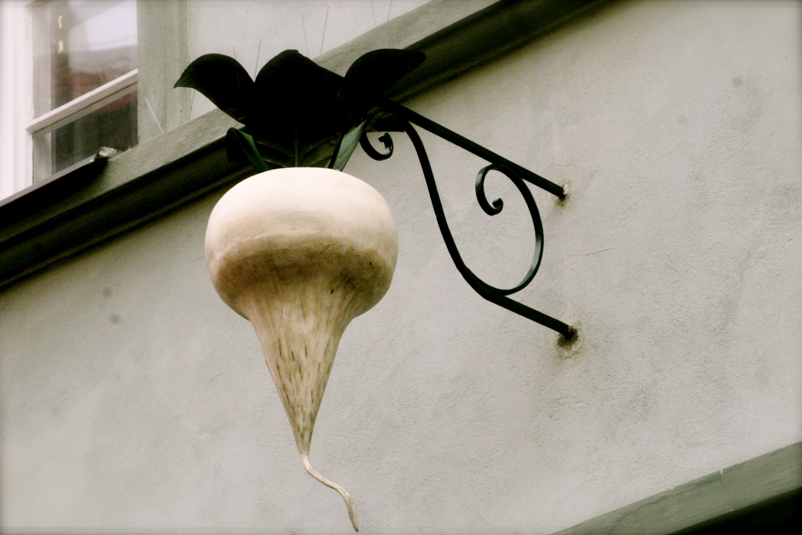 radish in Prague radish in Prague