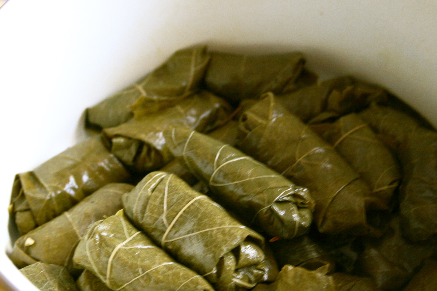 stuffed grape leaves stuffed grape leaves