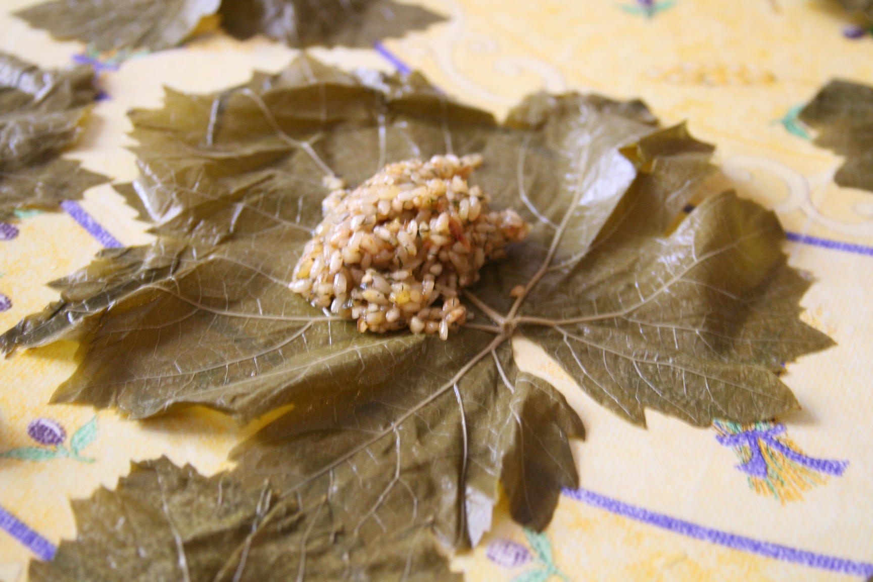 stuffed grape leaves before rolling stuffed grape leaves before rolling