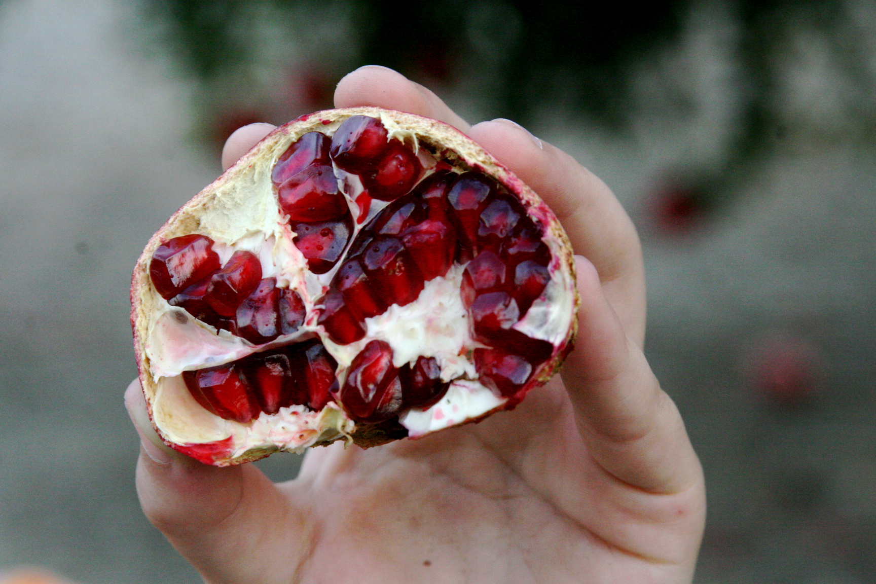 Pomegranate seeds