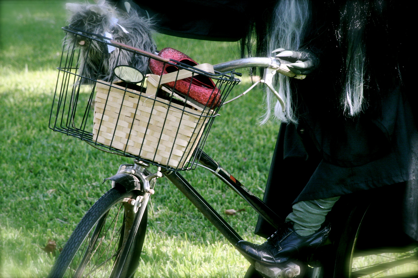 the witch with Toto the witch with Toto