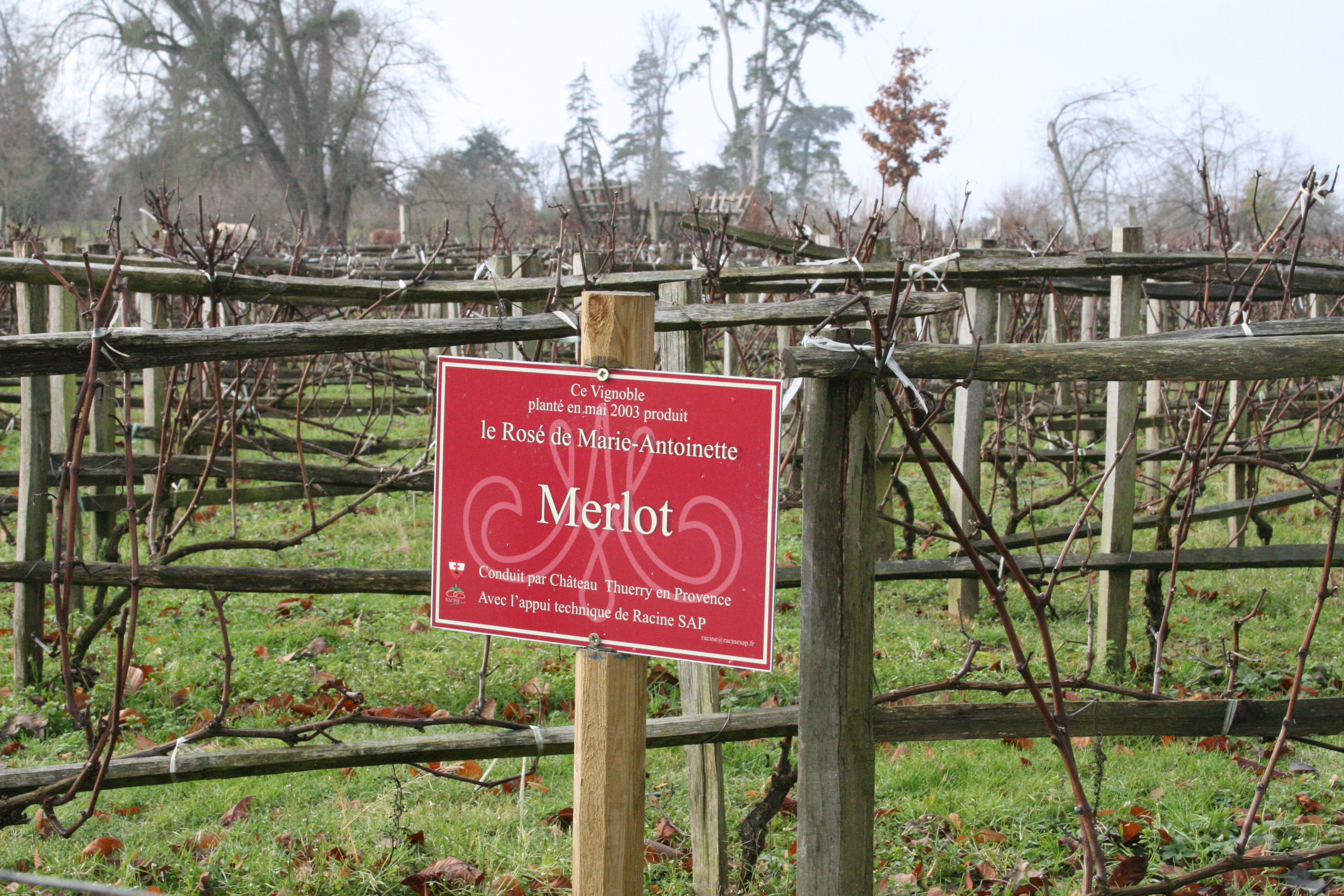 Moulin Rouge Moulin Rouge